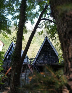 jungle vibes hostel naggar